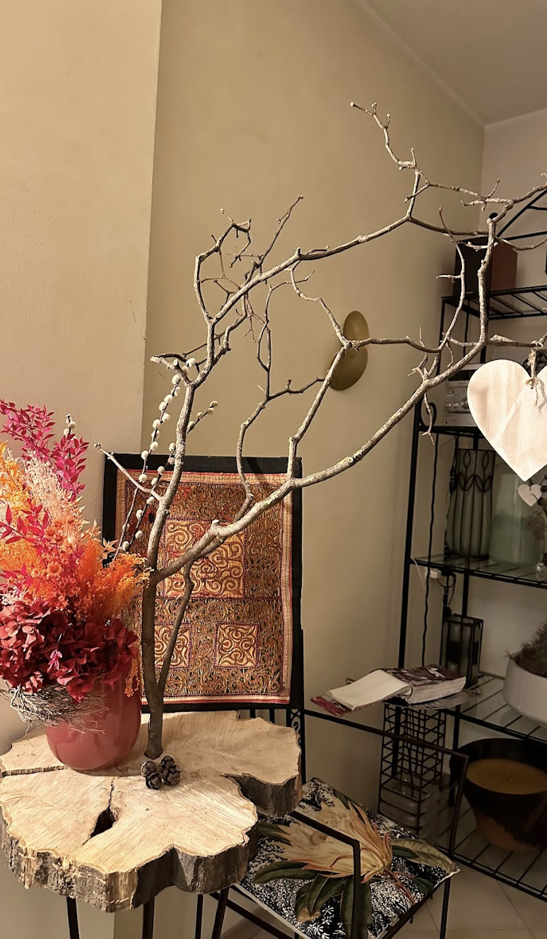 Interno Studio Estetico Erika Bergamo